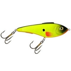 Vobler Aqua Fishing Tackle hind ja info | Landid, voblerid | kaup24.ee