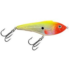 Vobler Aqua Fishing Tackle hind ja info | Landid, voblerid | kaup24.ee