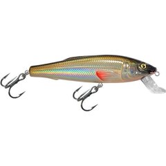 Vobler Aqua Fishing Tackle 100mm 018 hind ja info | Landid, voblerid | kaup24.ee