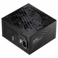 Adata XPG Core Reactor ll 750W 75261185 цена и информация | Toiteplokid (PSU) | kaup24.ee