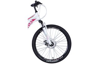 Laste jalgratas Discovery Rider 24", valge/roosa hind ja info | Jalgrattad | kaup24.ee