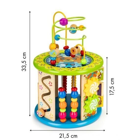 Õpetlik puidust kuubik Ecotoys цена и информация | Arendavad mänguasjad | kaup24.ee