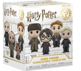 Funko Mystery Minis: Harry Potteri 3. osa цена и информация | Игрушки для мальчиков | kaup24.ee