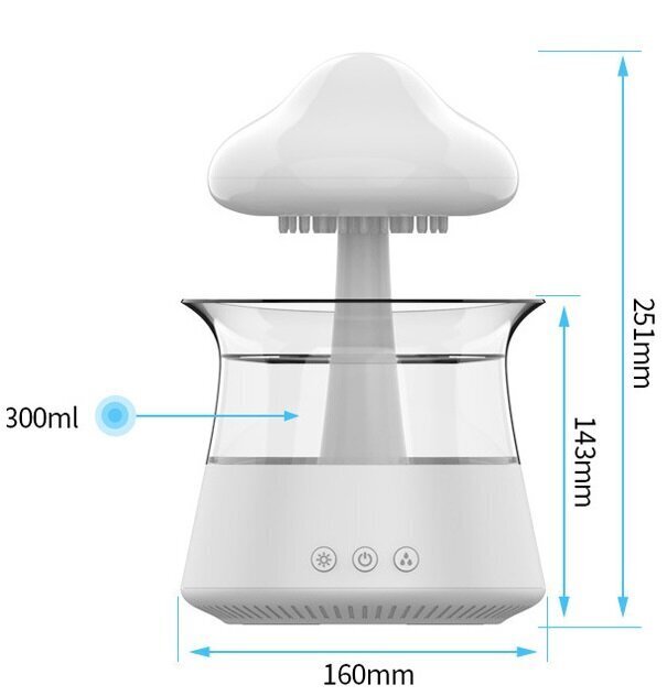 Rain Cloud öövalgusega niisutaja, 300ml hind ja info | Õhuniisutajad | kaup24.ee