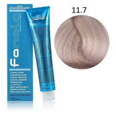 Professionaalne juuksevärv Fanola Color Cream, 11.7 Superlight Platinum Blonde Iris, 100 ml hind ja info | Juuksevärvid | kaup24.ee