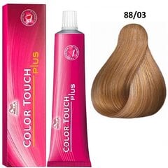 Juuksevärv Wella Professionals Color Touch Plus, 88/03 Intense Light Golden Natural Blonde, 60 ml hind ja info | Juuksevärvid | kaup24.ee