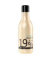 Oksüdeeritud vesi Stapiz Basic Salon 1,9% 1000 ml цена и информация | Краска для волос | kaup24.ee
