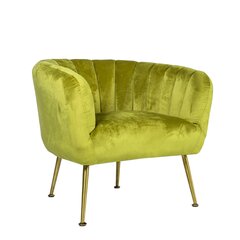 Кресло Tucker, зеленое цена и информация | Кресла в гостиную | kaup24.ee