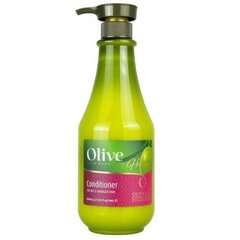 Juuksepalsam Frulatte Olive, 800 ml hind ja info | Juuksepalsamid | kaup24.ee