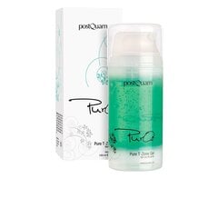 Puhastav geel Postquam Pure Tzone (100 ml) цена и информация | Сыворотки для лица, масла | kaup24.ee