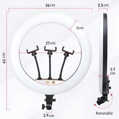 Светодиодный кольцевой светильник 18 дюймов на подставке, LIVMAN LJJ-36 (led ring) цена и информация | Осветительное оборудование для фотосъемок | kaup24.ee