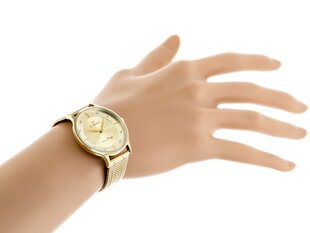 Часы для женщин G. ROSSI - 12516B2-4D1 (zg853c) + BOX TAY16594 цена и информация | Женские часы | kaup24.ee