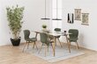 2 tooli komplekt Batilda A1, roheline/tamm hind ja info | Söögitoolid, baaritoolid | kaup24.ee