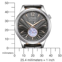 Citizen Automatic NH9131-14E NH9131-14E цена и информация | Женские часы | kaup24.ee