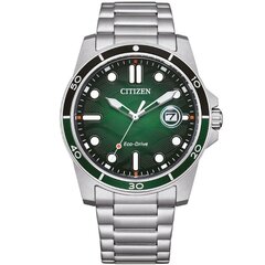 Citizen Eco-Drive AW1811-82X AW1811-82X hind ja info | Naiste käekellad | kaup24.ee