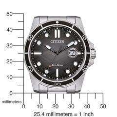 Citizen Eco-Drive AW1816-89E AW1816-89E цена и информация | Женские часы | kaup24.ee