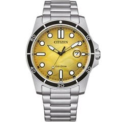 Citizen Eco-Drive AW1816-89X AW1816-89X цена и информация | Женские часы | kaup24.ee