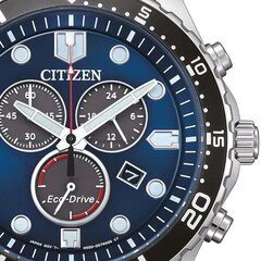 Citizen Eco-Drive AT2560-84L AT2560-84L цена и информация | Женские часы | kaup24.ee