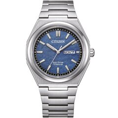 Citizen Titanium Eco-Drive AW0130-85LE AW0130-85LE hind ja info | Naiste käekellad | kaup24.ee