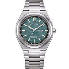 Citizen Titanium Eco-Drive AW0130-85XE AW0130-85XE hind ja info | Naiste käekellad | kaup24.ee