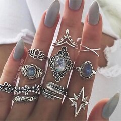 серебряные кольца RETRO PUNK BOHO 85 SET OF RETRO RINGS 85 цена и информация | Кольцо | kaup24.ee