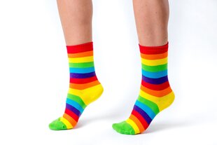 LGBT Vikerkaarevärvilised sokid UNISEX WZ04 hind ja info | Naiste sokid | kaup24.ee