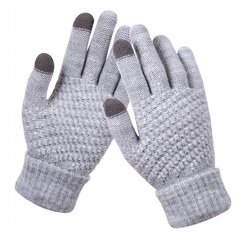 Акрил Warm Touch Grey R02 HANDS R02-SZARE цена и информация | Женские перчатки | kaup24.ee