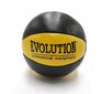 EVOLUTION 3KG MEDITSIINIPALL цена и информация | Topispallid | kaup24.ee