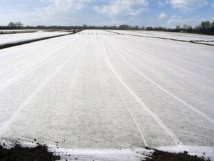 Külmumisvastane agrokile 1.6x100 m rull hind ja info | Aiatööriistad | kaup24.ee