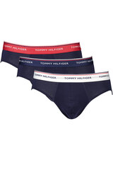 TOMMY HILFIGER ALUSPESU 1U87903766 hind ja info | Meeste aluspesu | kaup24.ee