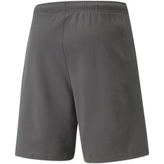 Puma Lühikesed Püksid Teamrise Short Grey 704942 13 hind ja info | Meeste käekellad | kaup24.ee