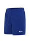 Nike Ujumisšortsid Nk B Ess 4'' Volley Short Blue NESSB866 494 цена и информация | Poiste ujumispüksid | kaup24.ee