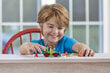 10766 LEGO® | Disney Woody ja RC цена и информация | Klotsid ja konstruktorid | kaup24.ee