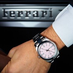 AUTOMATYCZNY Часы для мужчин DONOVAL WATCHES PINK PANTHER DL0005 + коробка (zdo001e) TAY26890 цена и информация | Мужские часы | kaup24.ee