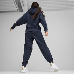 Женский спортивный костюм PUMA Loungewear Suit TR 679920144099685464227 цена и информация | Мужская спортивная одежда | kaup24.ee