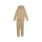 Naiste treener PUMA Loungewear Suit TR 679920834099685569670 цена и информация | Meeste spordiriided | kaup24.ee