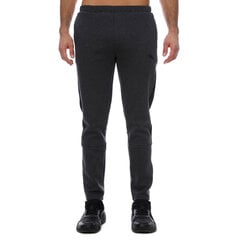 Штаны PUMA EVOSTRIPE Core Pants 585814074063698965163 цена и информация | Мужская спортивная одежда | kaup24.ee