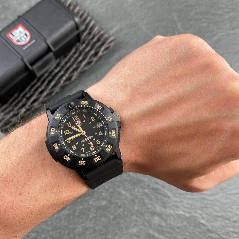 Luminox Original Navy SEAL Evo Military Dive XS.3001.EVO.OR.S XS.3001.EVO.OR.S hind ja info | Meeste käekellad | kaup24.ee