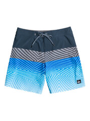 Quiksilver Surfsilk Panel 18 pardasortsid hind ja info | Ujumispüksid, shortsid | kaup24.ee