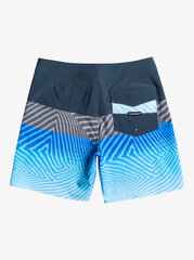 Quiksilver Surfsilk Panel 18 pardasortsid hind ja info | Ujumispüksid, shortsid | kaup24.ee