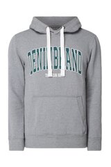 Meeste Tom Tailor Hoody kampsun kapuutsiga hall hind ja info | Meeste pusad | kaup24.ee