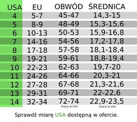 Перстень-печатка викингов НОРДИЧЕСКИЙ амулет RUNA 471 471-04 цена и информация | Мужские украшения | kaup24.ee