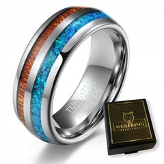 WOLFRING вольфрамовое кольцо кольцо EU25 US11 R40-R25/11 цена и информация | Мужские украшения | kaup24.ee