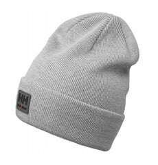 Talvemüts Helly Hansen Kensington beanie, hall hind ja info | Meeste sallid, mütsid ja kindad | kaup24.ee