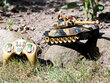 RC tank puldiga, roheline hind ja info | Poiste mänguasjad | kaup24.ee