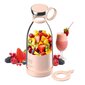 Pudel blenderiga BlendPro, 350 ml hind ja info | Joogipudelid | kaup24.ee