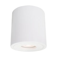 Laevalgusti Light Prestige Faro XXL цена и информация | Потолочные светильники | kaup24.ee