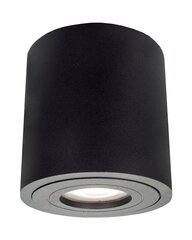 Laevalgusti Light Prestige Faro XXL цена и информация | Потолочные светильники | kaup24.ee