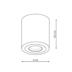 Laevalgusti Light Prestige Faro XXL hind ja info | Laelambid | kaup24.ee