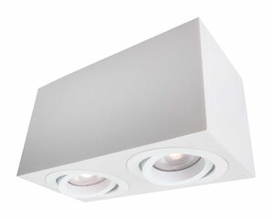 Light Prestige потолочный светильник Lyon 2 цена и информация | Потолочные светильники | kaup24.ee